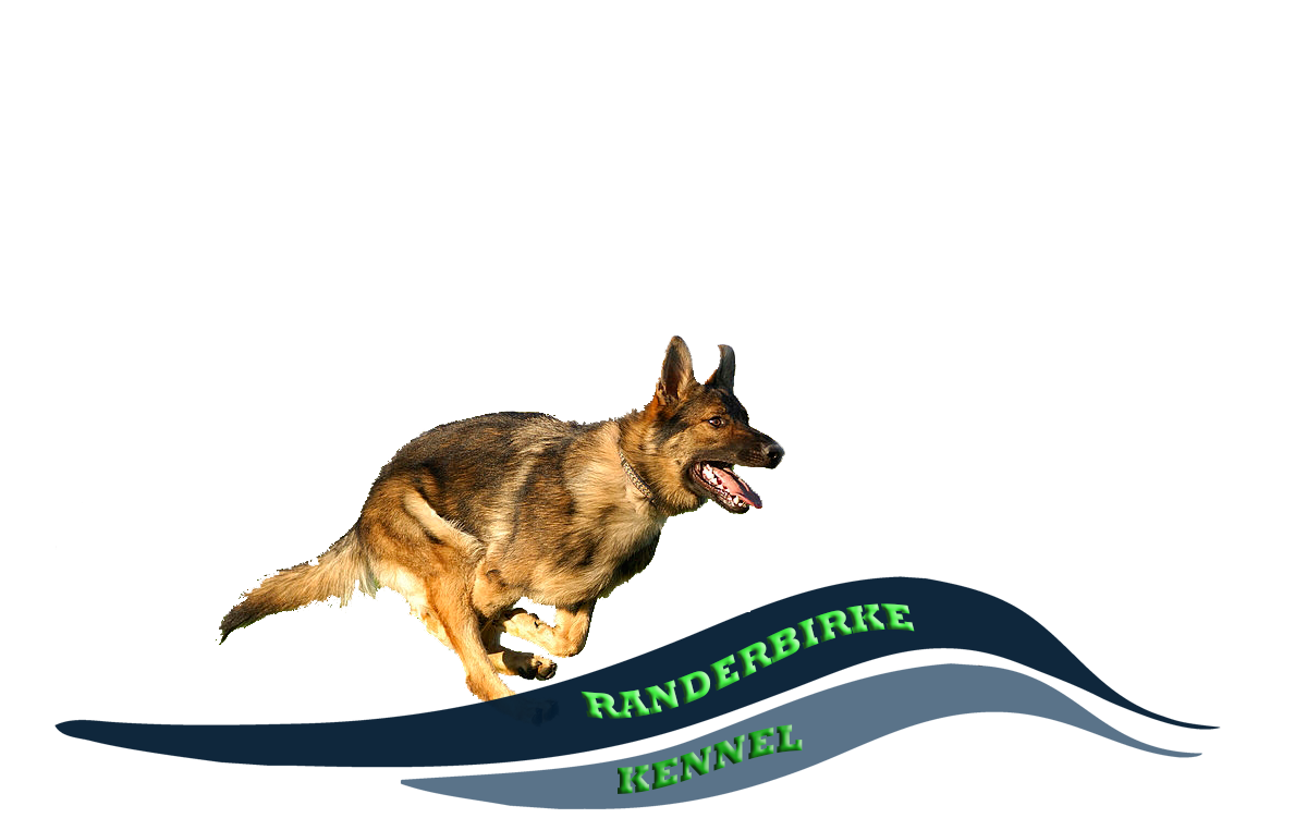 Randerbirke_kennel