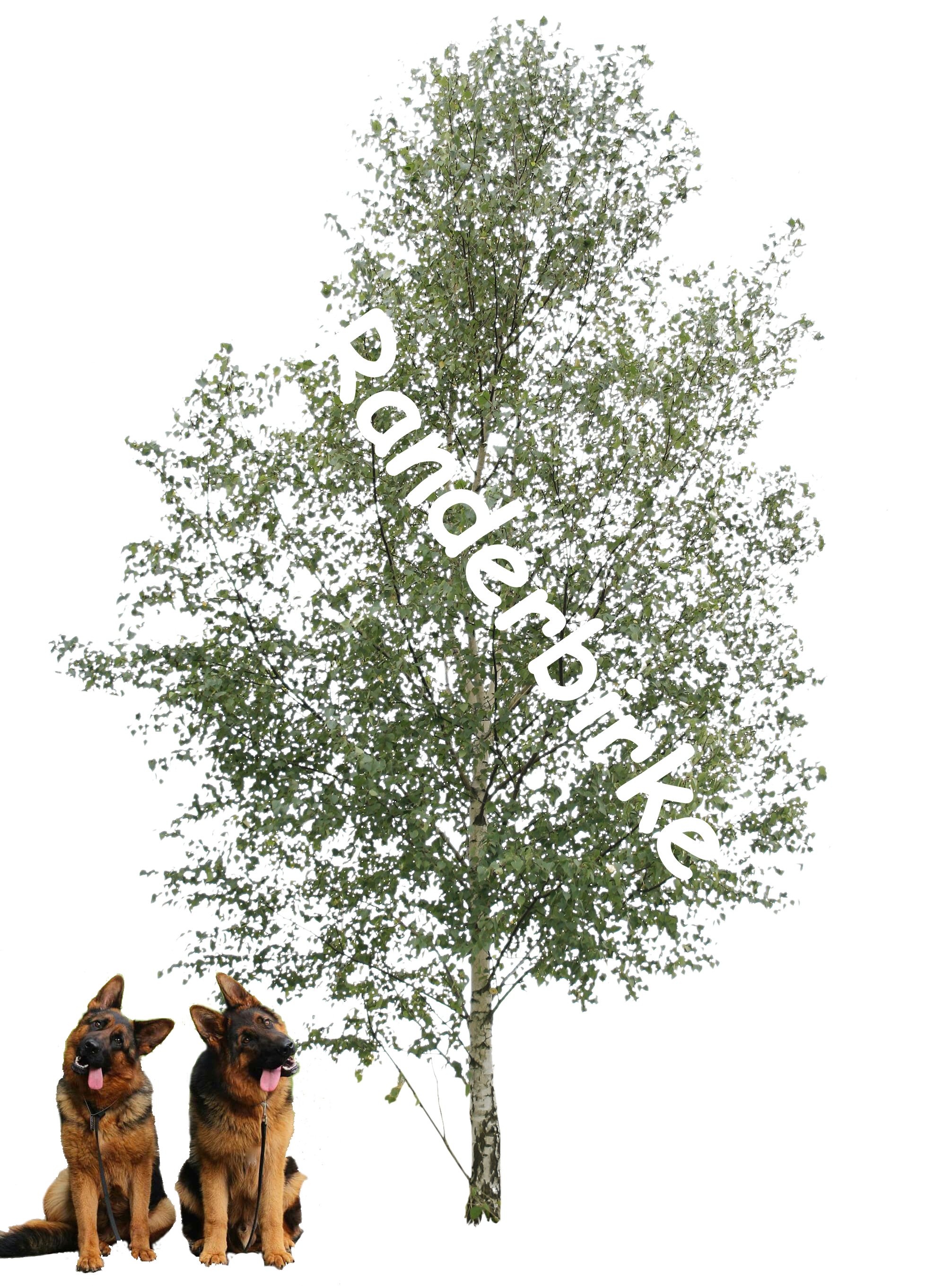 feecutout_tree_03